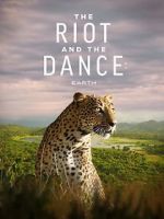 Watch The Riot and the Dance Zmovies
