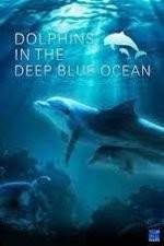 Watch Dolphins in the Deep Blue Ocean Zmovies