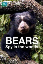Watch Bears: Spy in the Woods Zmovies