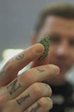 Watch Professor Green: Is It Time to Legalise Weed? Zmovies