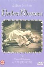 Watch Broken Blossoms or The Yellow Man and the Girl Zmovies