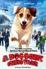 Watch A Doggone Christmas Zmovies
