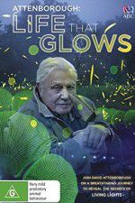 Watch Attenborough\'s Life That Glows Zmovies