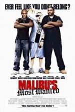 Watch Malibu's Most Wanted Zmovies