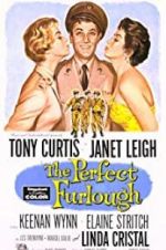 Watch The Perfect Furlough Zmovies