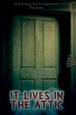 Watch It Lives in the Attic Zmovies