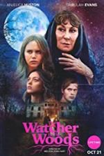 Watch The Watcher in the Woods Zmovies
