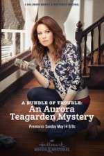 Watch A Bundle of Trouble: An Aurora Teagarden Mystery Zmovies