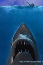 Watch Jaws: The True Story Zmovies