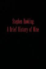 Watch Stephen Hawking A Brief History of Mine Zmovies