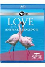 Watch Nature: Love in the Animal Kingdom Zmovies