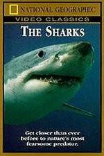 Watch National Geographic The Sharks Zmovies