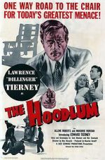 Watch The Hoodlum Zmovies