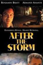 Watch After the Storm Zmovies