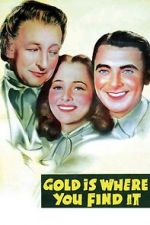 Watch Gold Is Where You Find It Zmovies