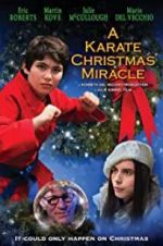 Watch A Karate Christmas Miracle Zmovies