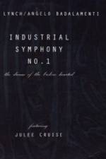 Watch Industrial Symphony No 1 The Dream of the Brokenhearted Zmovies