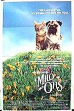 Watch Milo and Otis Zmovies