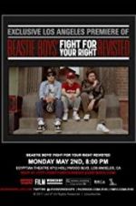 Watch Beastie Boys: Fight for Your Right Revisited Zmovies
