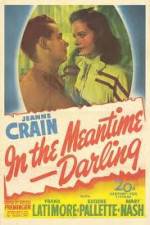 Watch In the Meantime Darling Zmovies