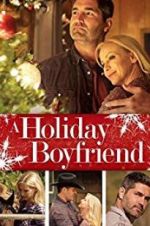 Watch A Holiday Boyfriend Zmovies