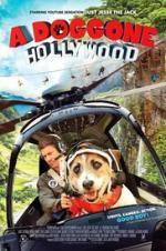 Watch A Doggone Hollywood Zmovies