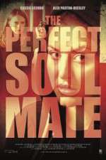 Watch The Perfect Soulmate Zmovies