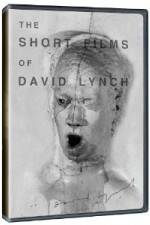 Watch The Short Films of David Lynch Zmovies
