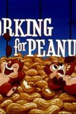 Watch Working For Peanuts Zmovies
