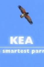 Watch Kea - The Smartest Parrot Zmovies