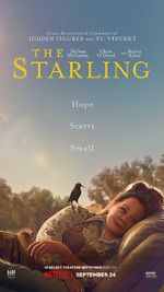 Watch The Starling Zmovies