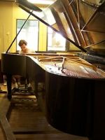 Watch Note by Note: The Making of Steinway L1037 Online Zmovies