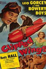 Watch Clipped Wings Zmovies