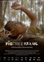 Watch Fig Tree Zmovies