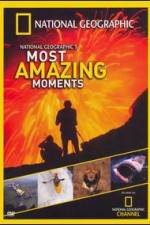 Watch National Geographics Most Amazing Moments Zmovies