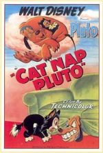 Watch Cat Nap Pluto Zmovies