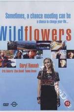Watch Wildflowers Zmovies