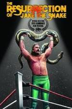 Watch The Resurrection of Jake The Snake Roberts Zmovies
