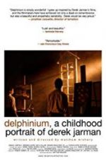 Watch Delphinium: A Childhood Portrait of Derek Jarman Zmovies