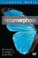 Watch Metamorphosis: The Beauty and Design of Butterflies Zmovies