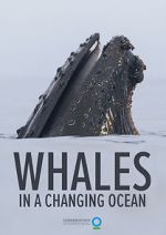 Watch Whales in a Changing Ocean (Short 2021) Zmovies