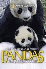 Watch Pandas: The Journey Home Zmovies