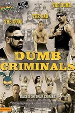 Watch Dumb Criminals: The Movie Zmovies