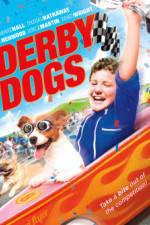 Watch Derby Dogs Zmovies