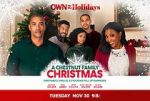 Watch A Chestnut Family Christmas Zmovies