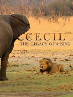 Watch Cecil: The Legacy of a King Zmovies