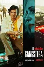 Watch How I Fell in Love with a Gangster Zmovies