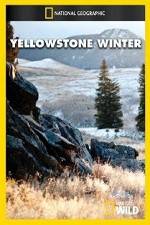 Watch National Geographic Yellowstone Winter Zmovies