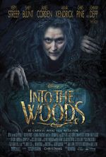 Watch Into the Woods Zmovies
