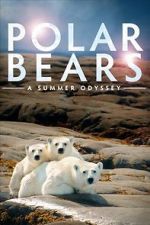 Watch Polar Bears: A Summer Odyssey Zmovies